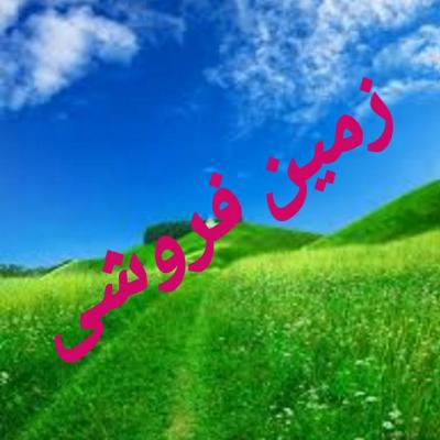 خرید زمین متراژ بالا قابل تفکیک