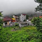 خرید زمین داخل بافت با ویو کم نظیر از جنگل در واز