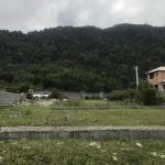 زمین کنار جنگل در نخ شمال