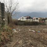 زمین کنار دریا و جنگل