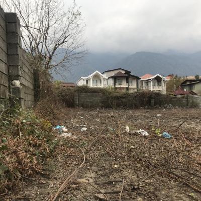 زمین کنار دریا و جنگل