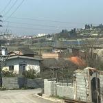 خرید زمین به همراه درخت مرکبات