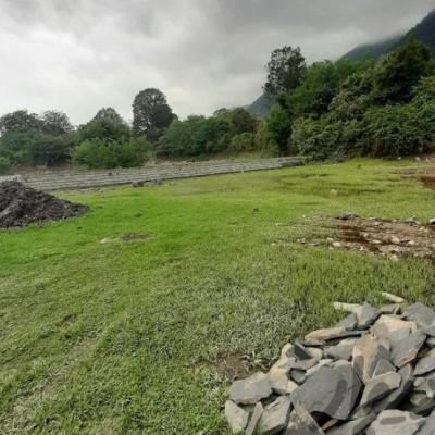 خرید زمین کنار جنگل نوشهر